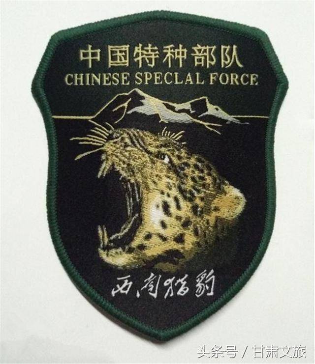 中国特种兵臂章大全图片