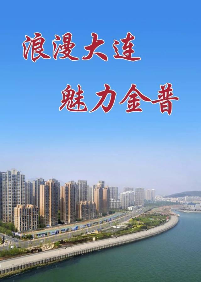 大连普湾新区网站推广 搜狐网