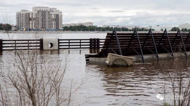 超震撼航拍黑河植物园已被淹,江边上演"水漫金山"!