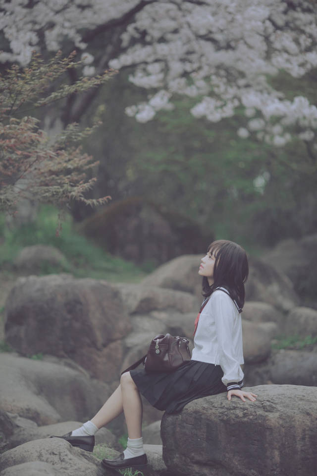 厘创团队|漫步在樱花树下,jk制服的小姐姐魅力十足
