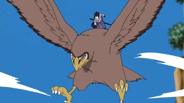 第一只呢,就是佐助失去咒印的飞行能力后定下契约的通灵兽忍鹰,可以说