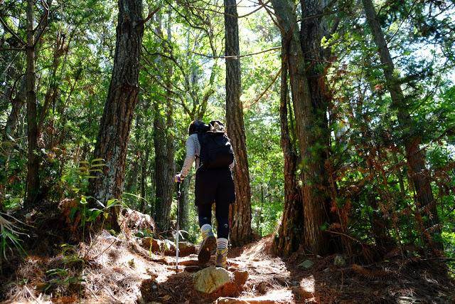 败家户外装备，买过的日本户外品牌and wander和山と道_手机搜狐网