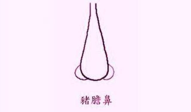 猪胆鼻标准图,猪胆图片,猪胆鼻图片(第10页)_大山谷图库