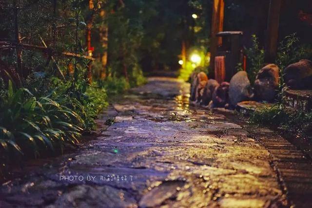 浪浪钉雨夜房车图片