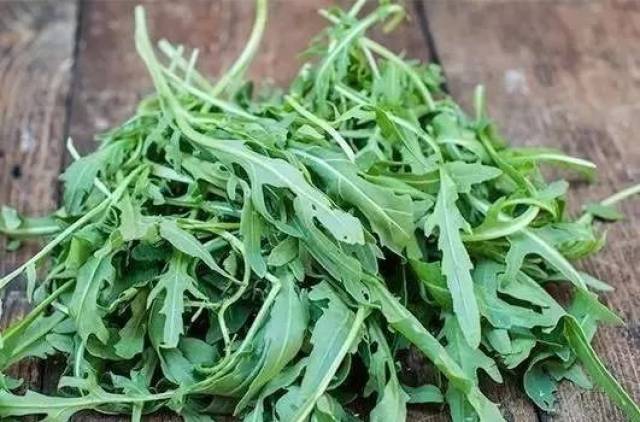 芝麻菜 wild rocket