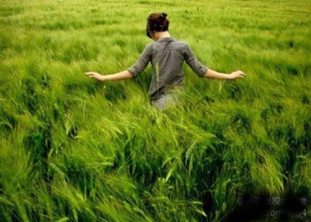 往事是一道风景,忘了远了