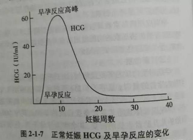 孕期hcg变化曲线图片