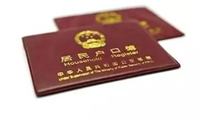 公积金代办在深圳为何成为热点服务?