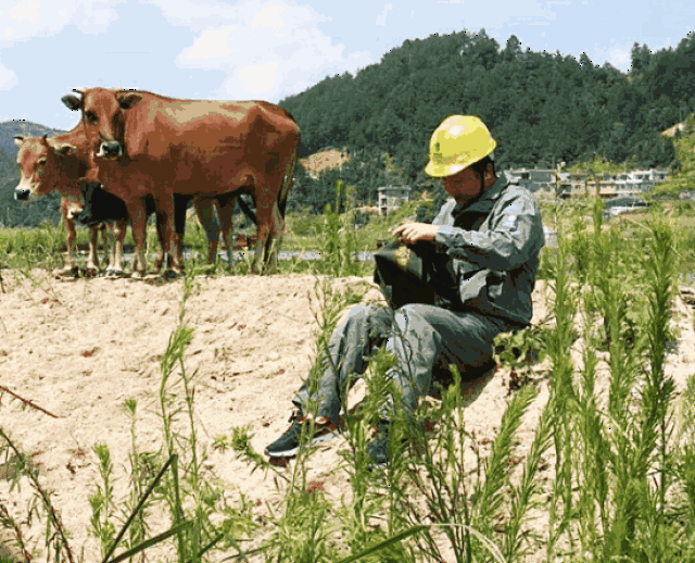 550_445gif 动态图 动图