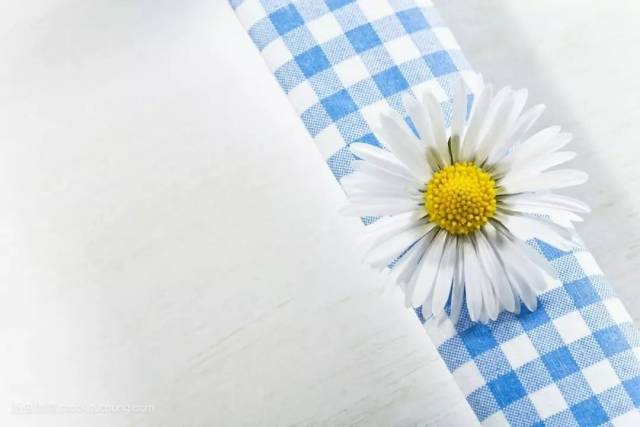 再坚强也抵不过这些感同身受的歌词