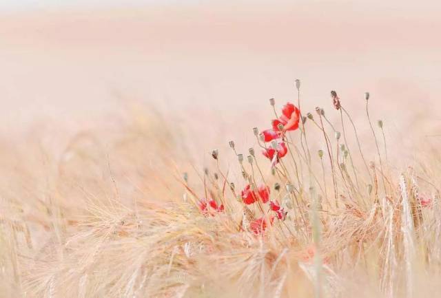 再坚强也抵不过这些感同身受的歌词