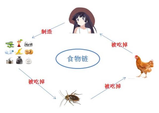 山东有一批饿不死的小强,每天吃掉15吨垃圾