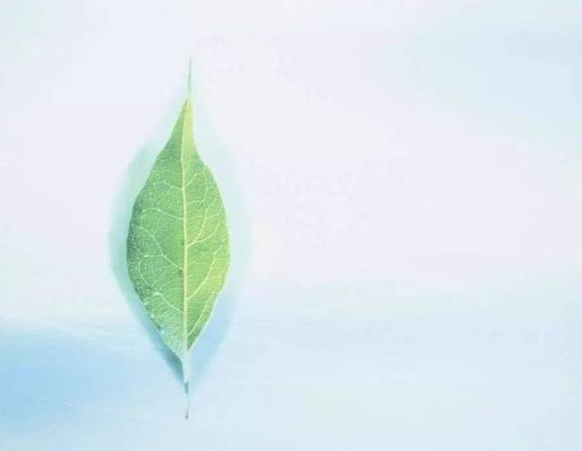 再坚强也抵不过这些感同身受的歌词