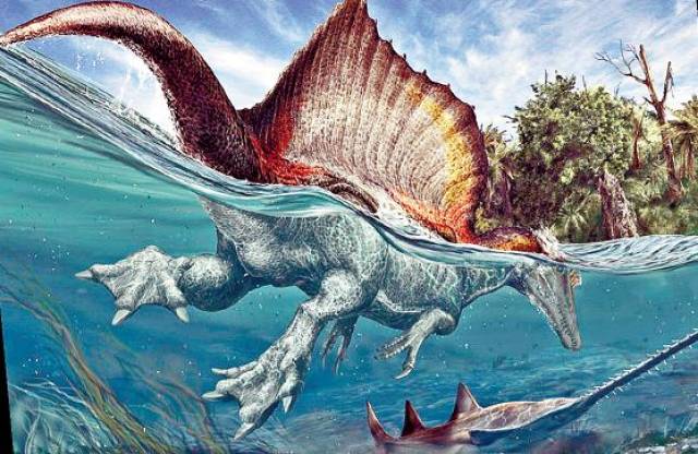 比暴龙还大的家伙肉食性王者战斗力和霸王龙五五开