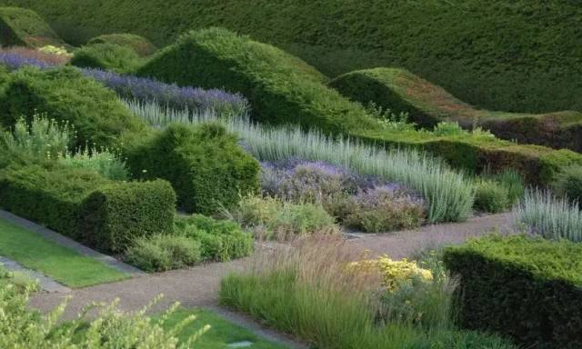 如何营造可实施的植物景观?