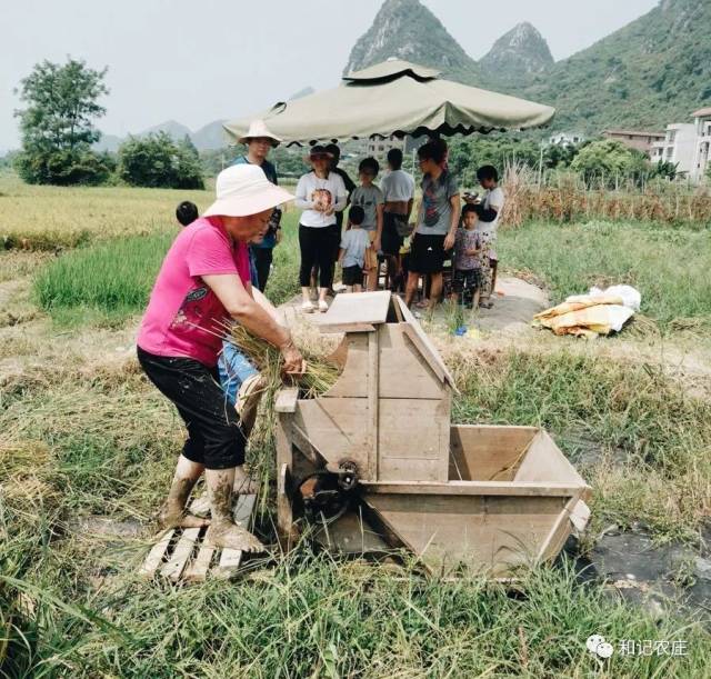 清风幼儿园的小朋友来和记体验春种一粒粟,秋收万颗子_手机搜狐网