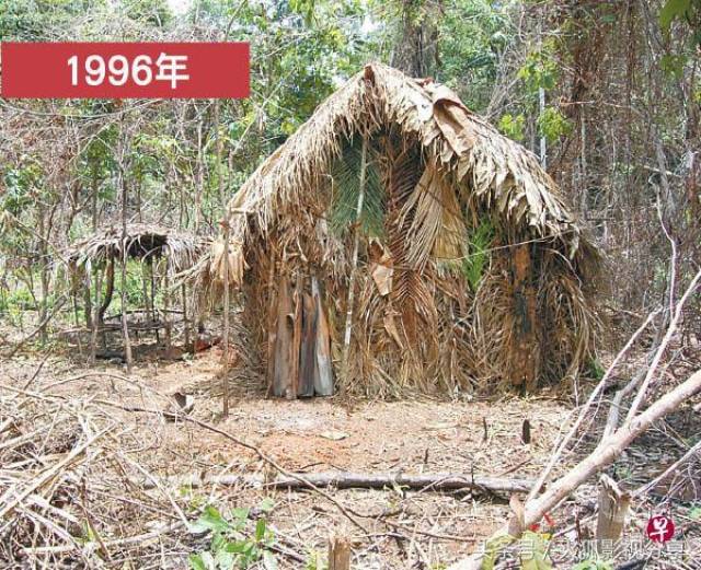巴西亚马逊森林区一个部族多年前险被灭族,仅剩下一名男土著野人苫构