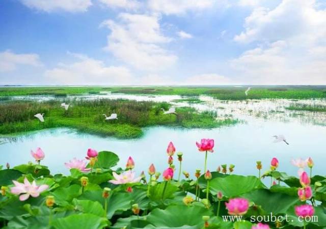 我国面积最大的湖泊是哪个湖