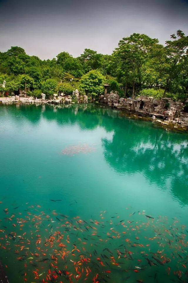 在静谧的时光里,感受济南夏天的味道