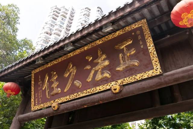 100个最美细节丨真觉之门