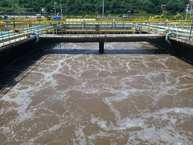 城市生活污水去哪儿了?