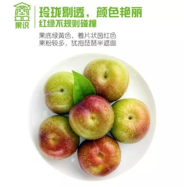 果农说 "新鲜的李子才有果粉呢"