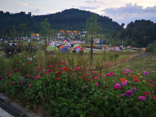 綦江花坝露营基地图片