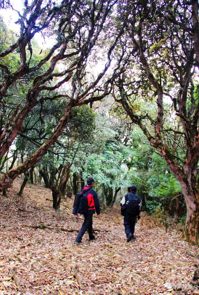 这样的大亮山你见过吗?(二)
