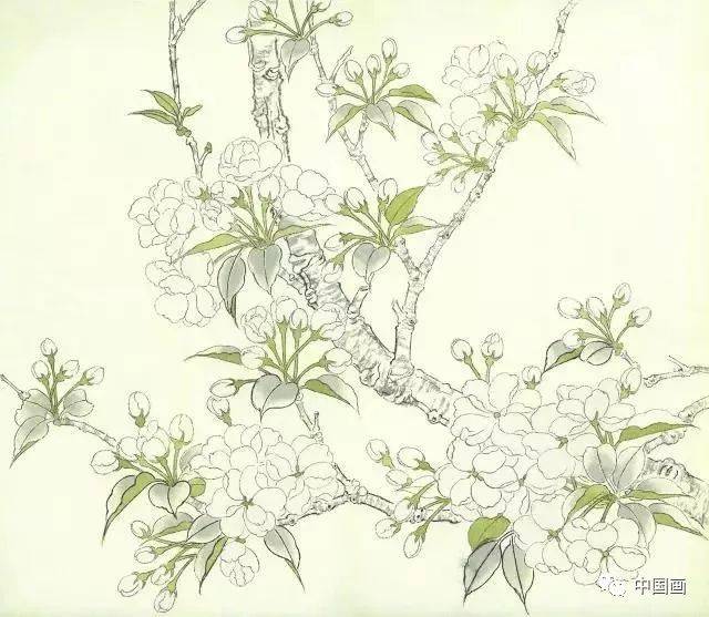 海棠花》工笔绘制示范，最后一张图太美了！_手机搜狐网
