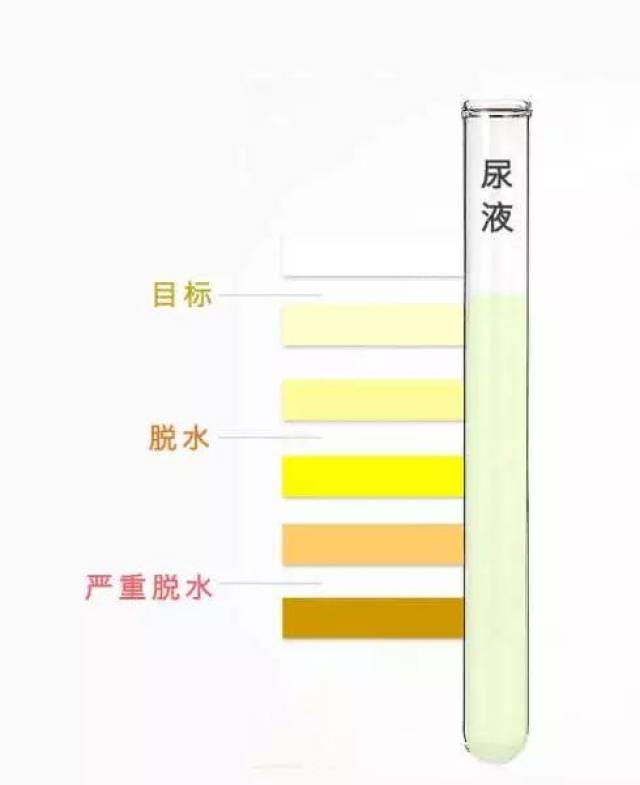 男人正常尿液图片图片