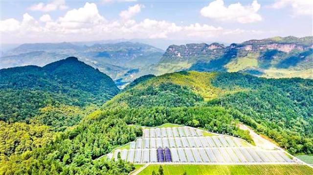 彭水下周又多一个好耍的地方润溪乡村旅游节7月30日在白果坪盛大开幕