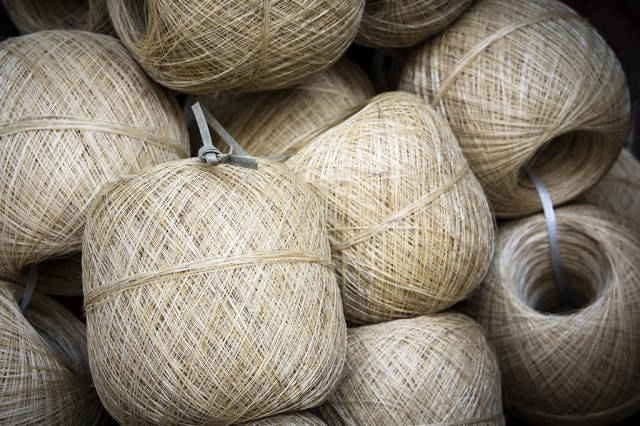 绩好的麻丝要绕成麻球