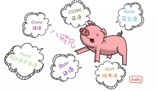 oink怎么读猪的叫声,猪叫声,笑出猪叫声的图片_大山谷图库