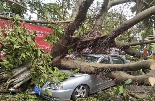 潍坊最新天气预报!诸城、高密、安丘…已出现