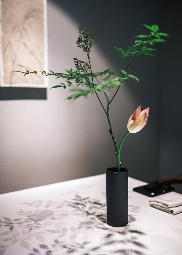 新案件 | 外滩的这家唯美素食馆你可能并不知道