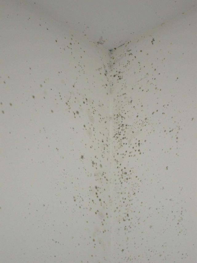 那是你还不知道这6个清洁秘诀!