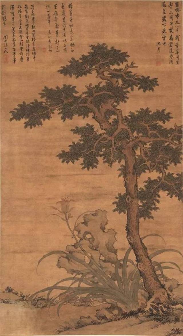 温暖故事 | 椿萱并茂,庚婺同明