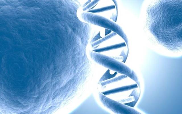 生物酶之没想到你是这样的酶