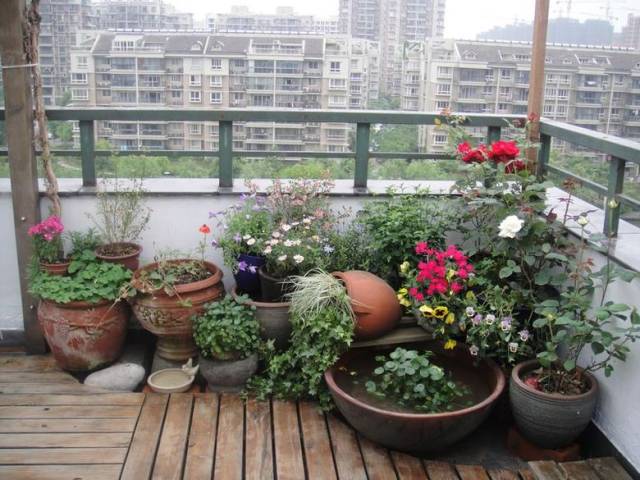 我的"露台花园",经过一个多月的翻修改造,是不是变漂亮了?