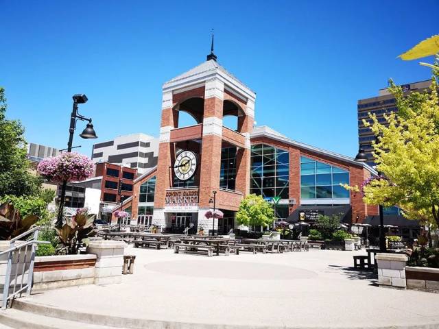 加拿大伦敦,美途学子带你穿越这个美丽又安逸的森林城市