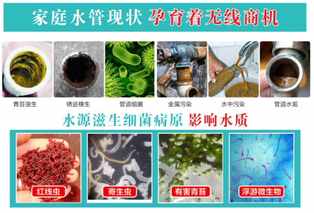 细菌,微藻植物及重金属都是通过我们生活中,所饮用的自来水一点点被