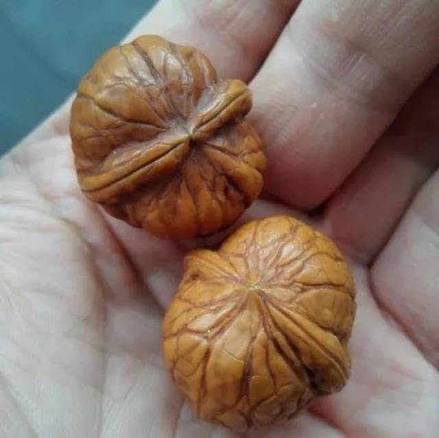万物皆可盘一对纸皮核桃耗时9年时间包浆后太美了