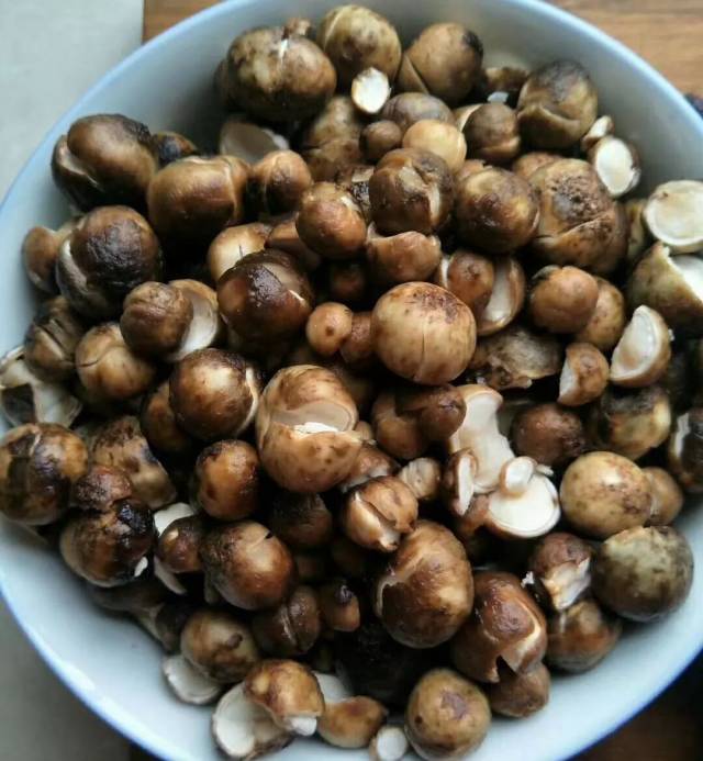 舌尖上的美食——宣威野生菌