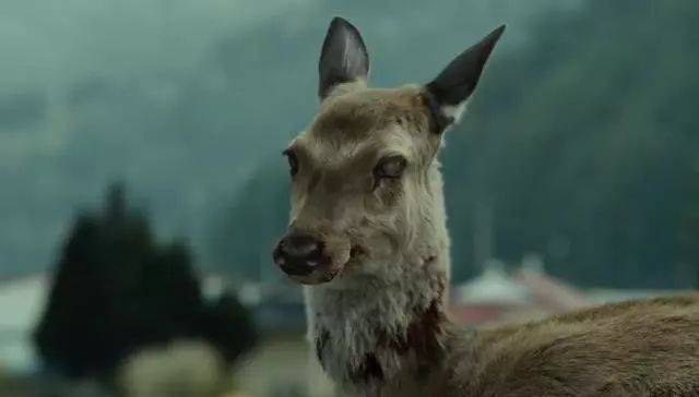 釜山行火车上第一个变丧尸的女的是怎么感染的