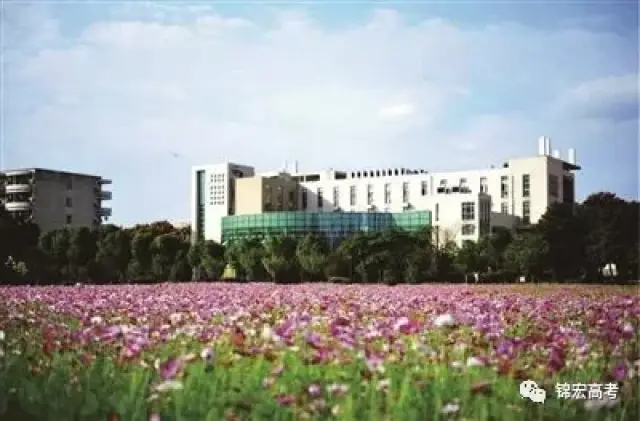 很多985\/211大学都有分校区,他们拿的文凭