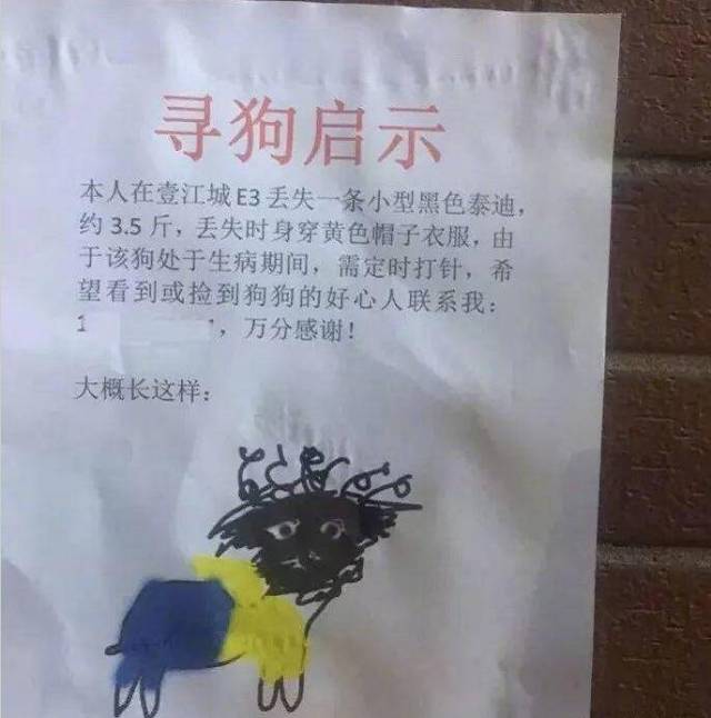 寻狗启示搞笑图片