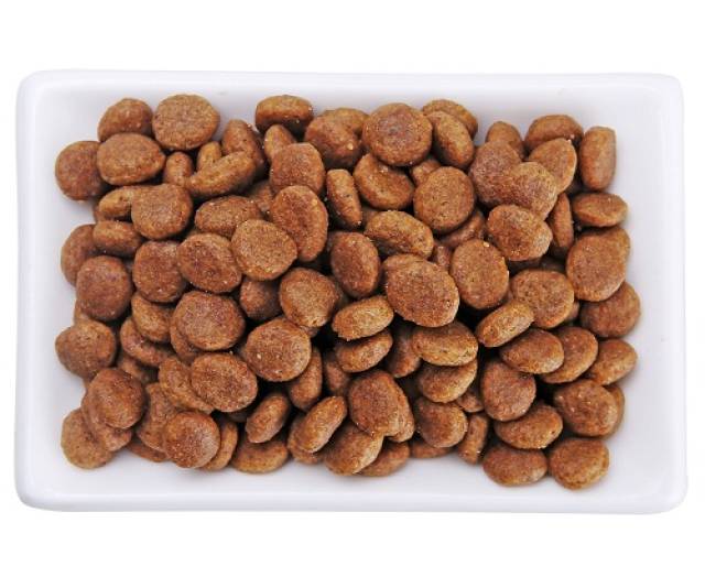 猫吐毛球一般吐哪里,短毛猫吐毛频率