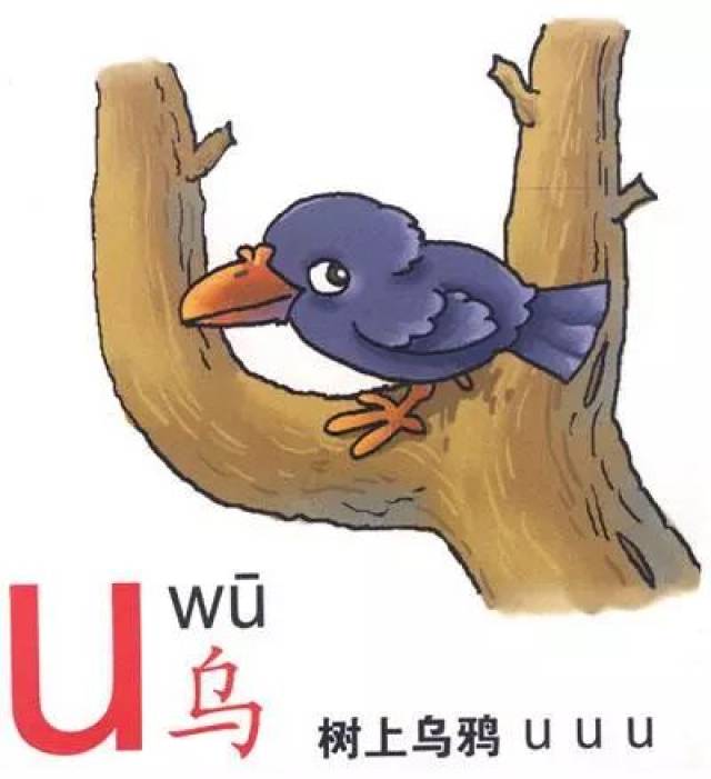 微课1—10:部编版一年级上汉语拼音第2讲:i u ü y w