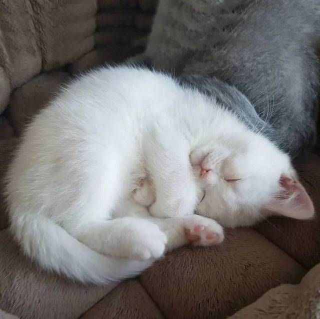 头像| 见不到你我就抑郁!