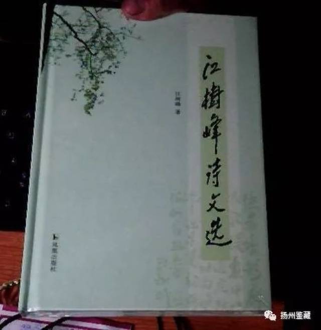 难忘江树峰先生